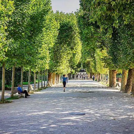 505- Jardins Des Plantes -paris 5
